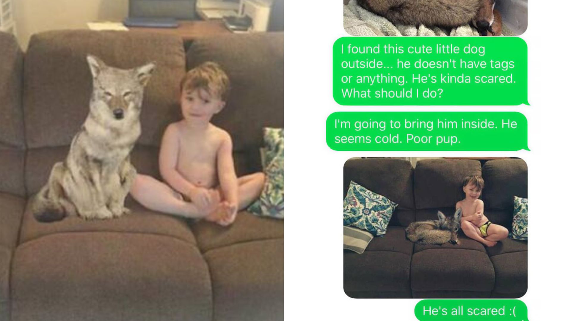Oregon Woman Pranks Her Husband Into Thinking She Brought Home A Wild Animal