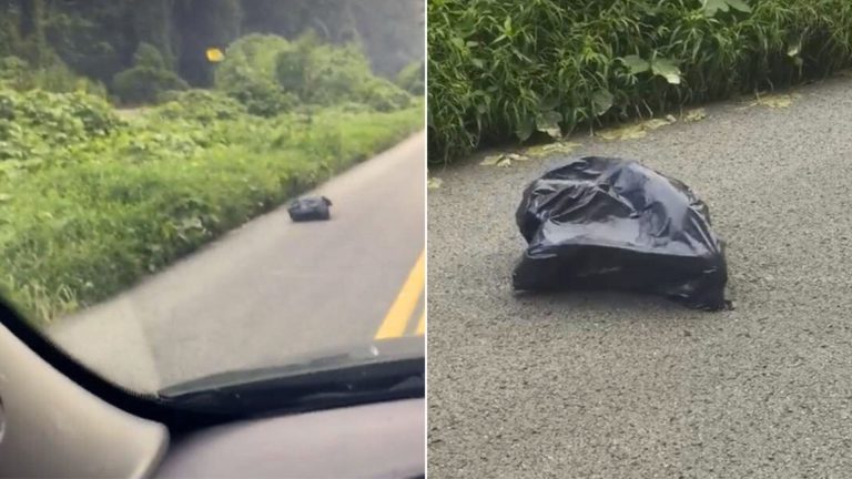 Woman Driving To Work Shocked To Find A Trash Bag