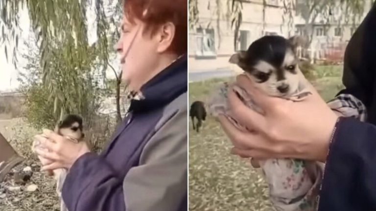 woman holding little puppy