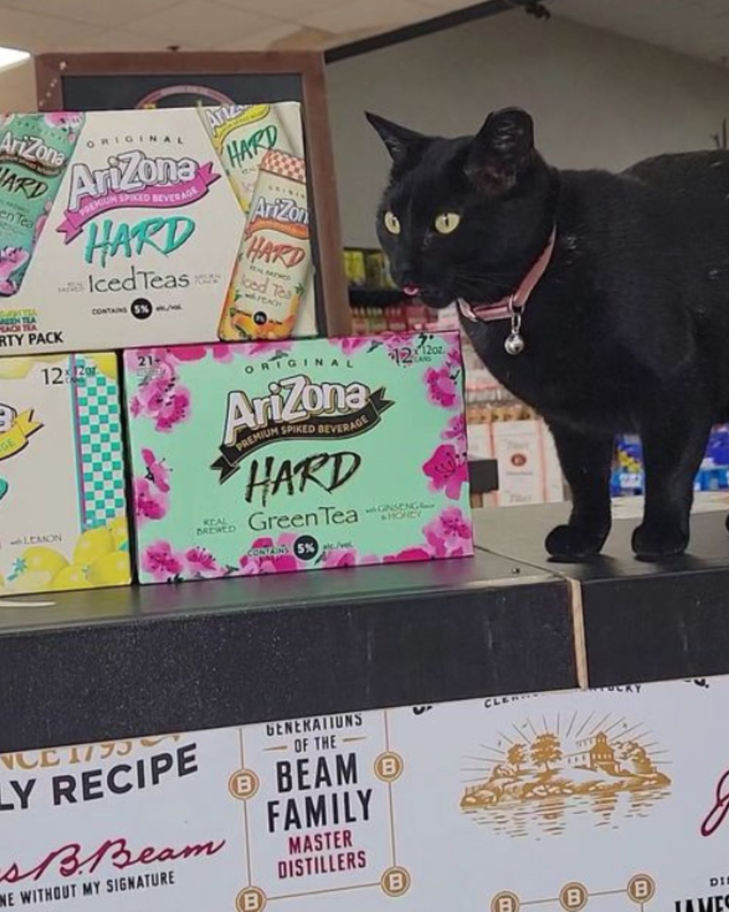 a black cat walks on the shelf