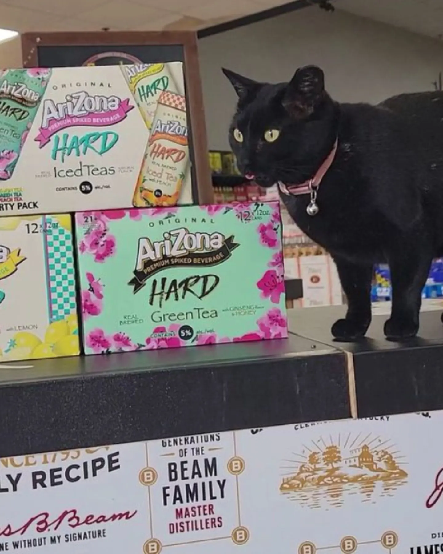 a black cat walks on the shelf