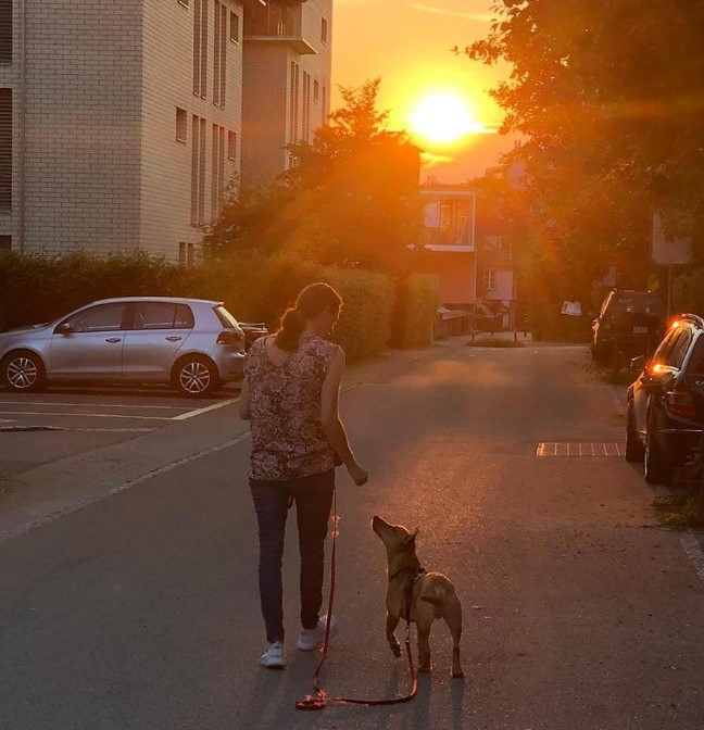 a girl leads a dog on a leash down the street