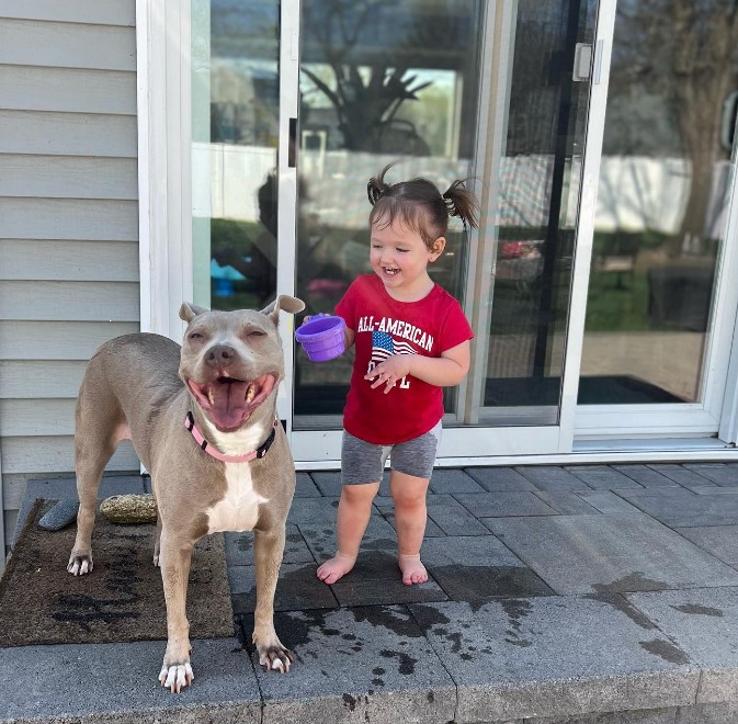 a smiling little girl pours water on herself and a pit bull