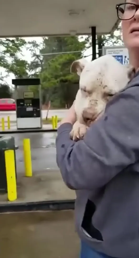 a woman at a gas station holds a dog in her arms