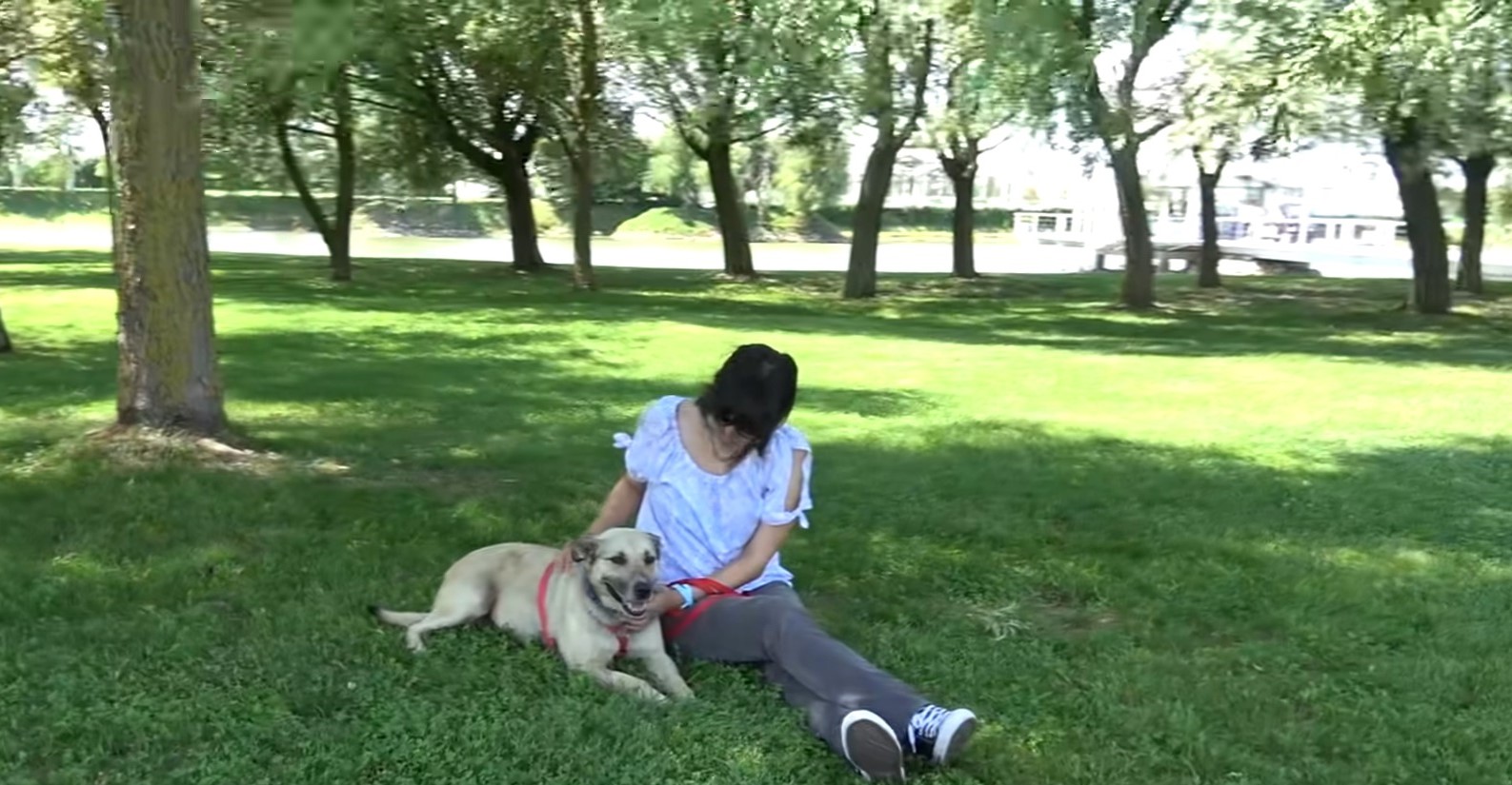 a woman sits in the park on the grass with her dog