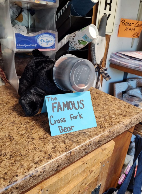 an animal with a plastic container on its head