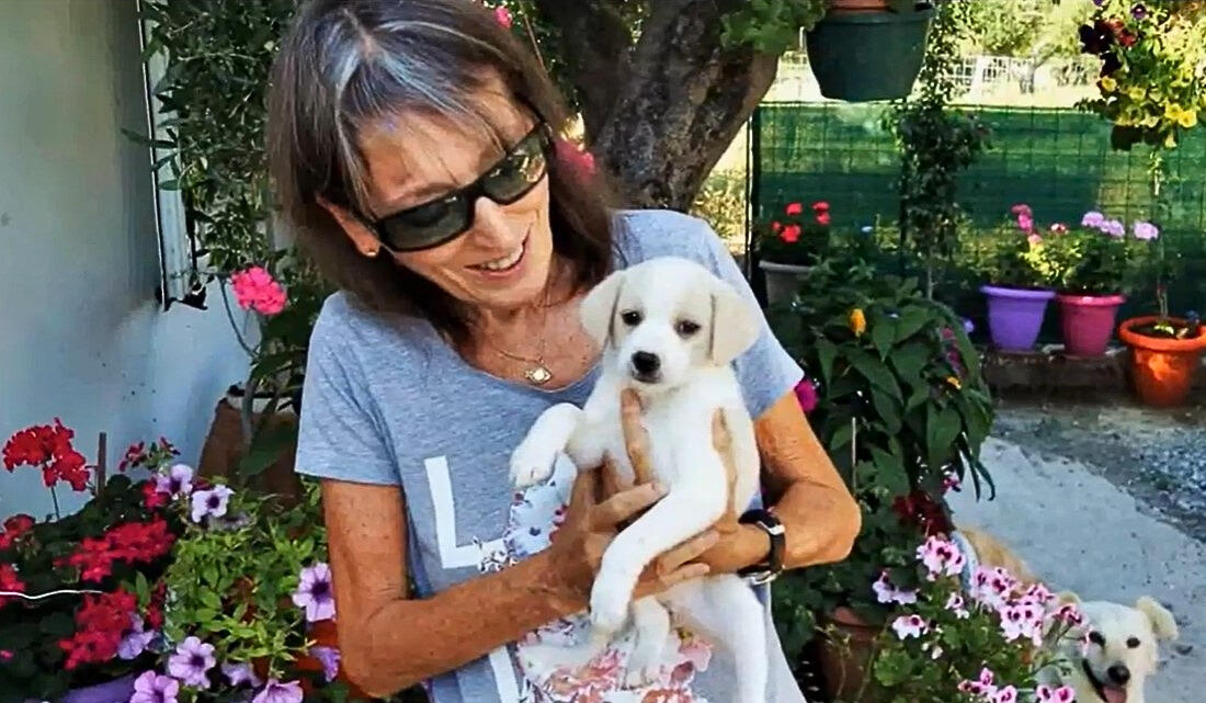 an elderly smiling lady with glasses holds a white puppy in her hands