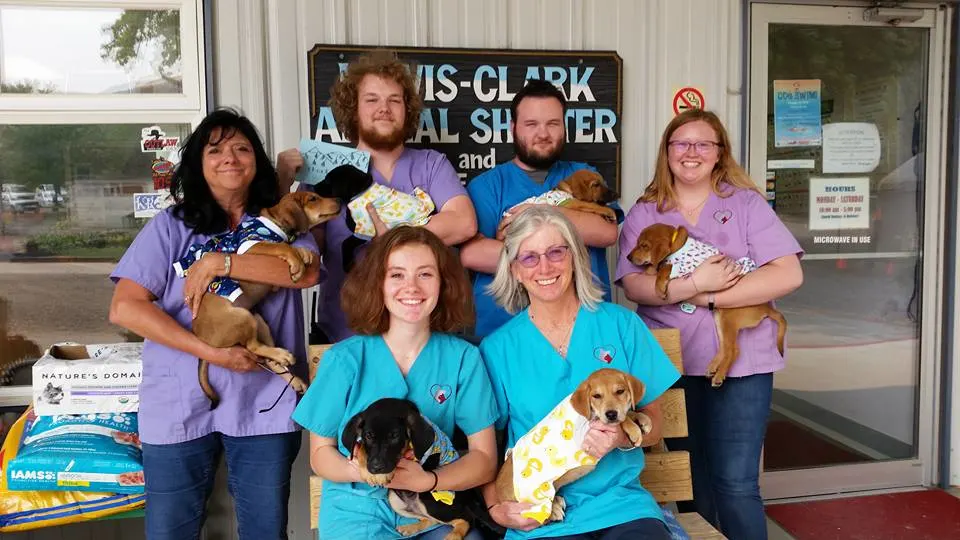 animal shelter employees holding puppies