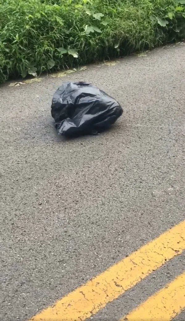 black garbage bag on the road