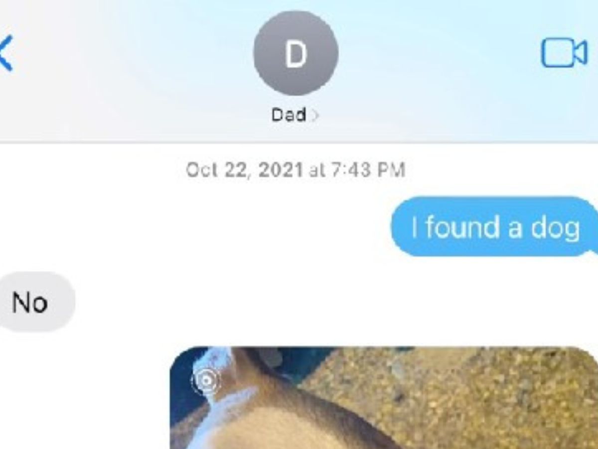 chat with dad