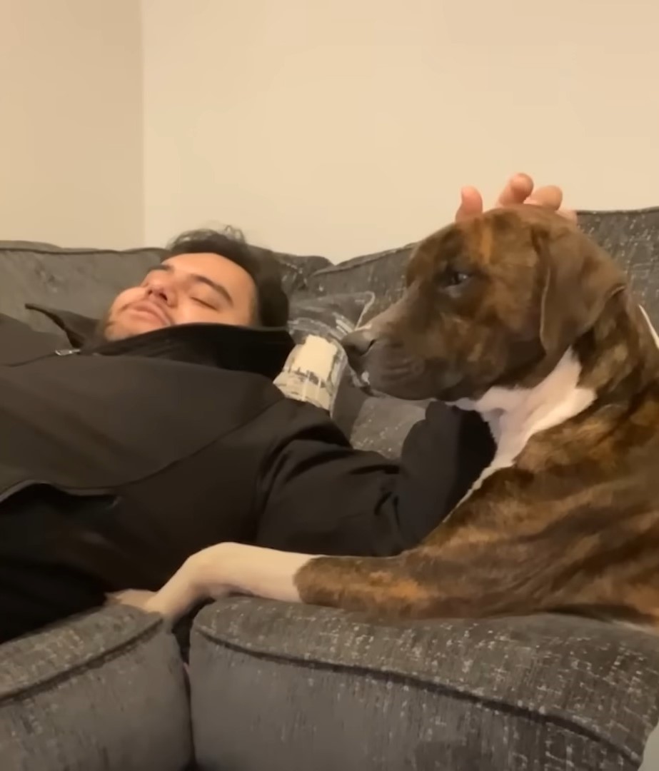 dad and dog lying on couch