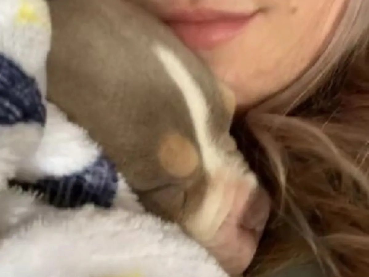 dog cuddling with woman