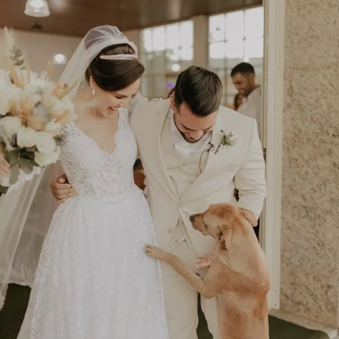 dog jumping on bride and groom