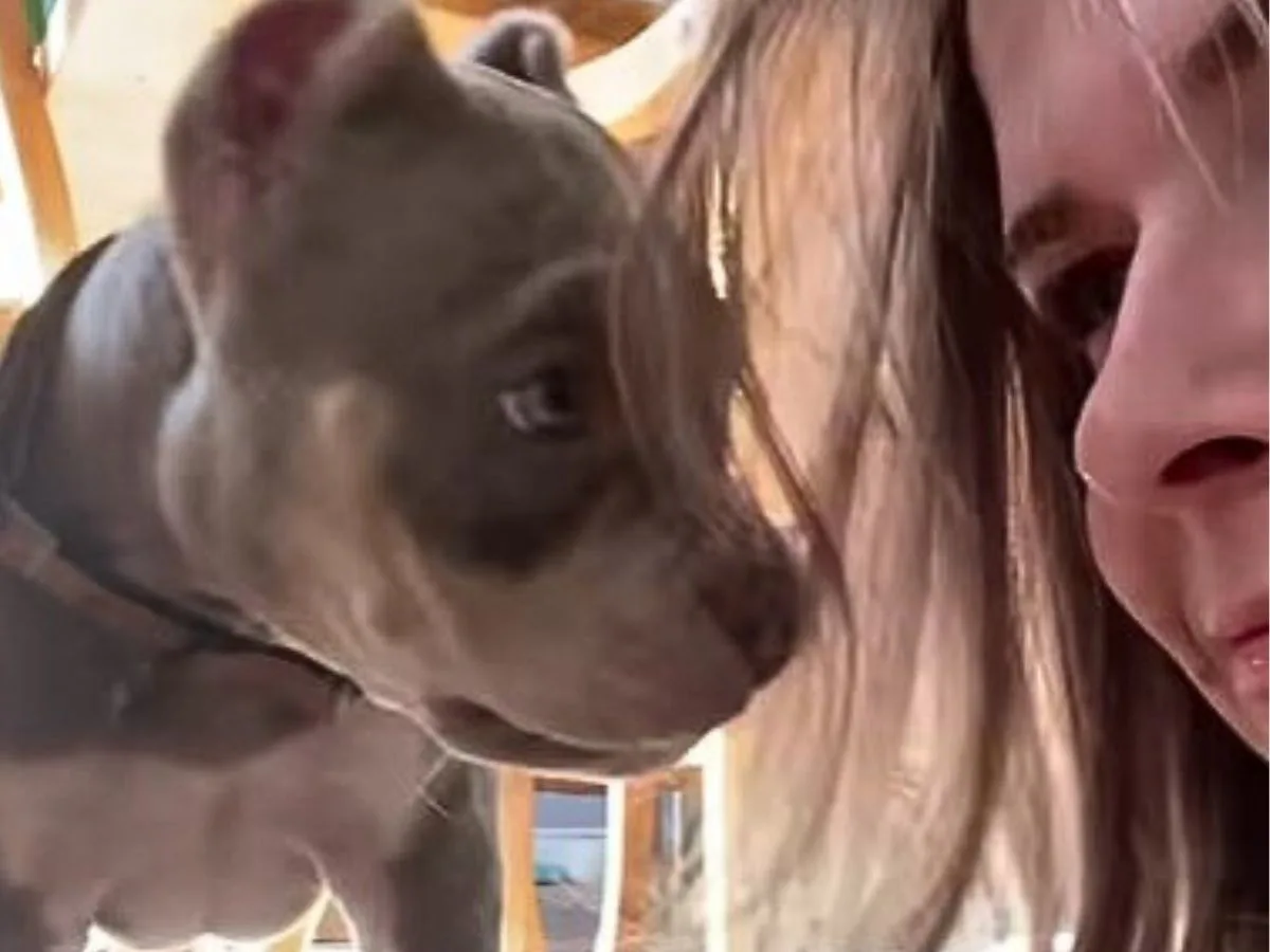 dog looking at female close-up