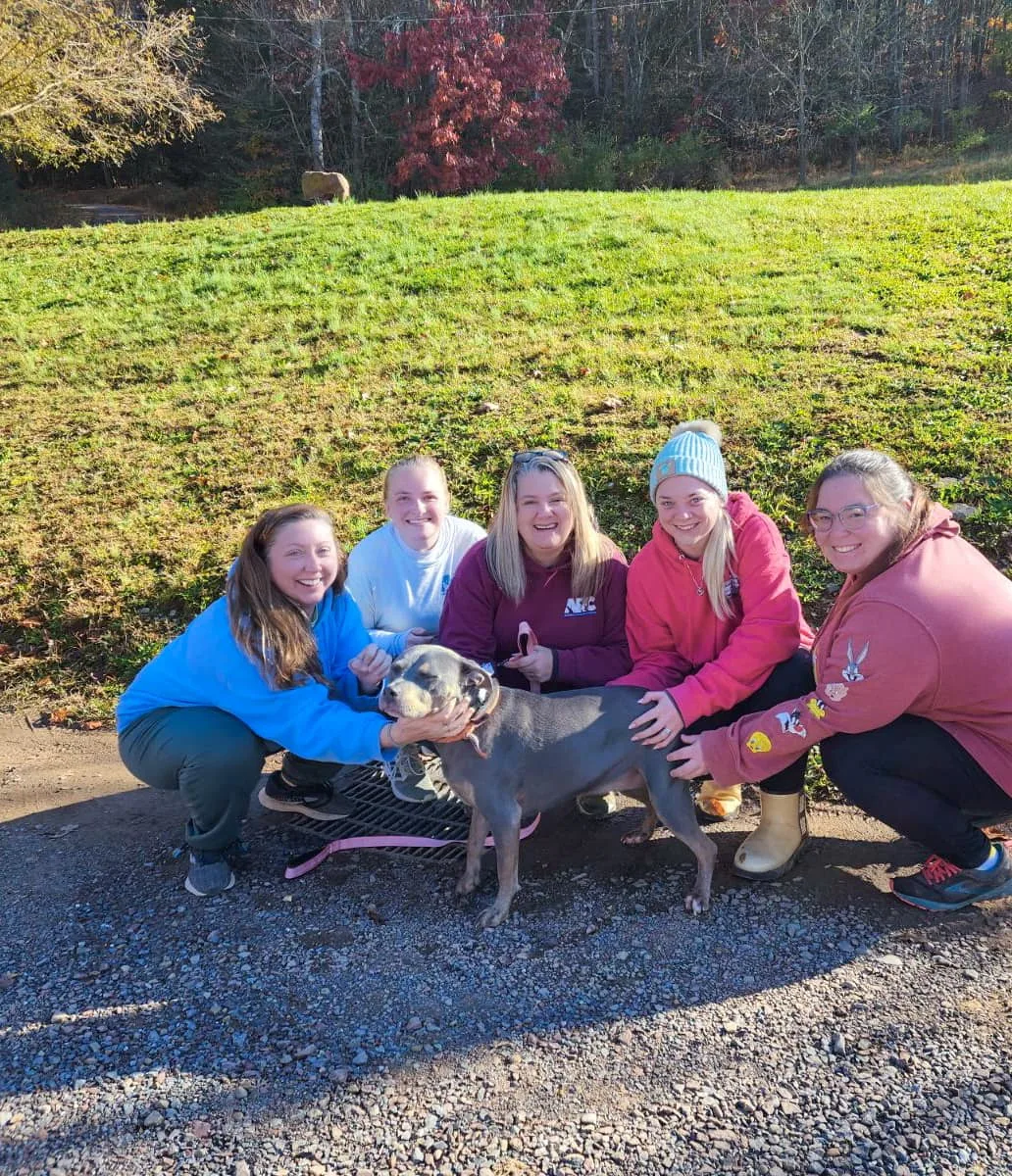 five girls and dog