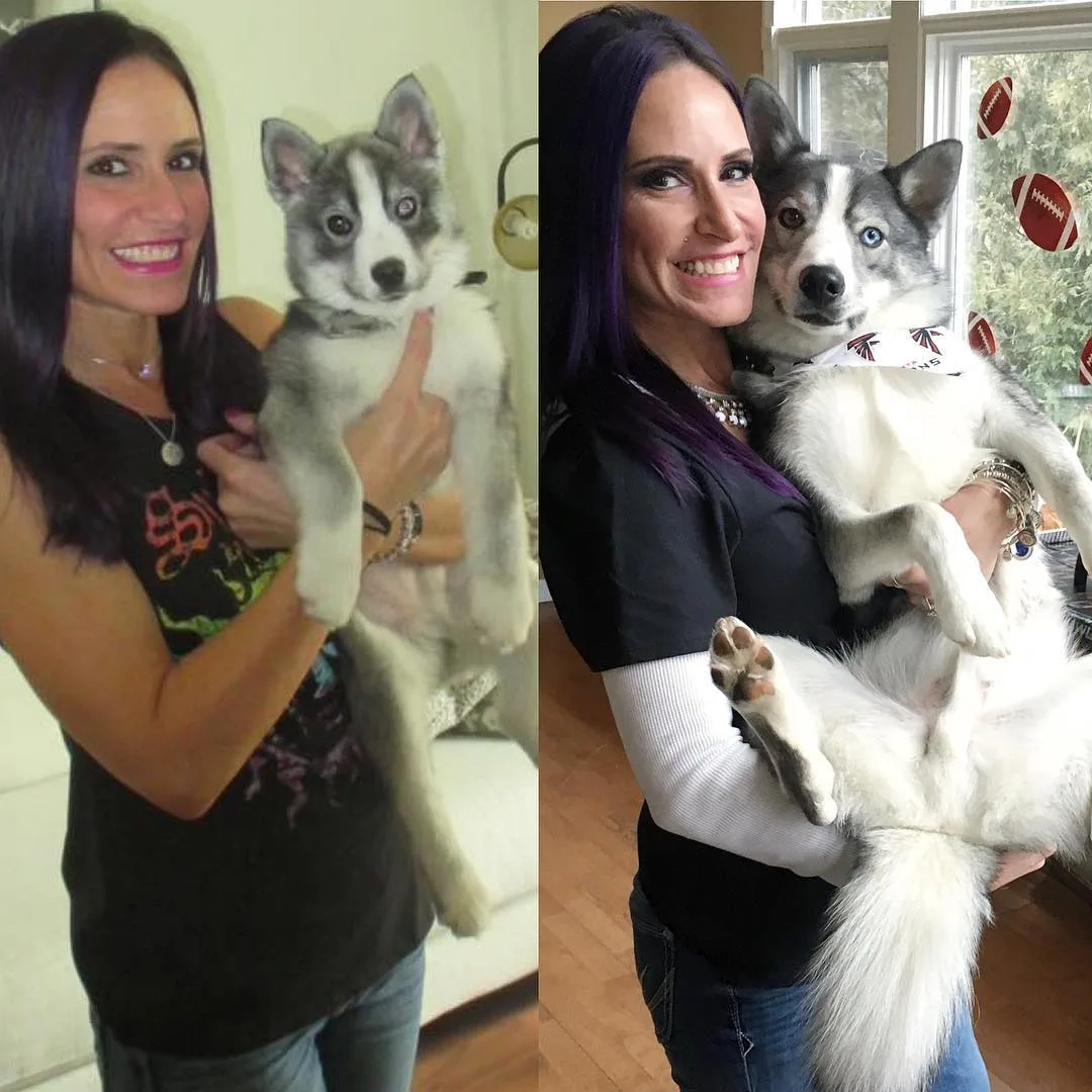 girl holding her Husky