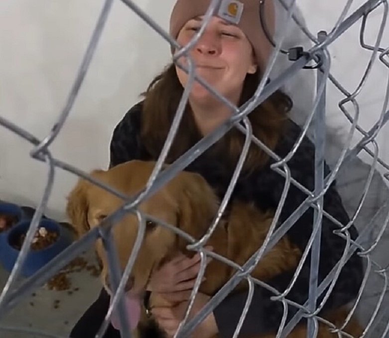 girl holding her brown dog