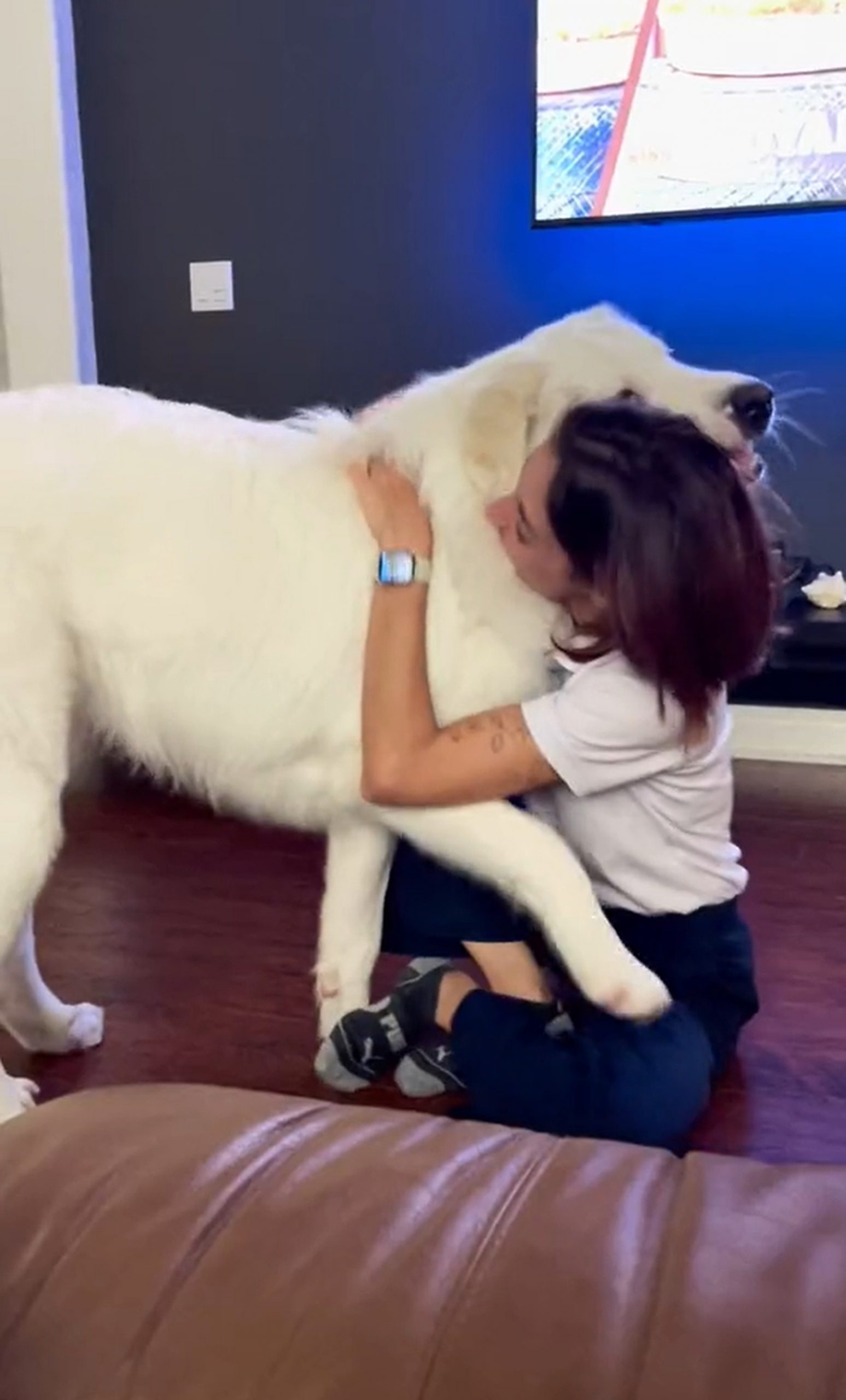 girl hugging her white dog