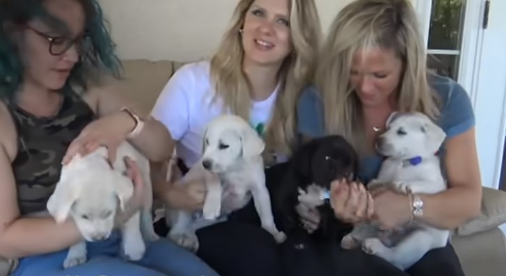 girls holding a puppies