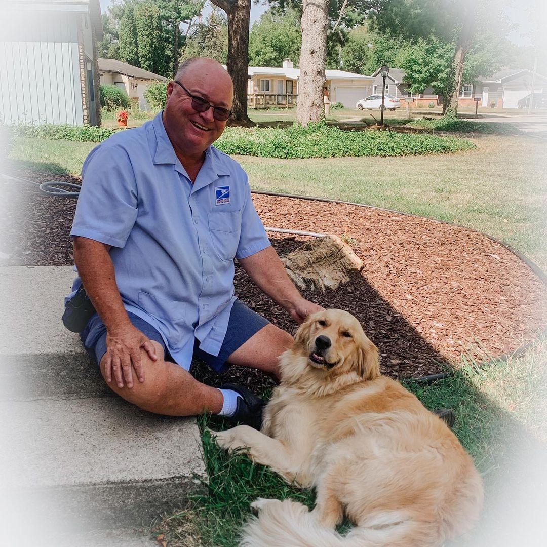 golden retriever lying by the mailman