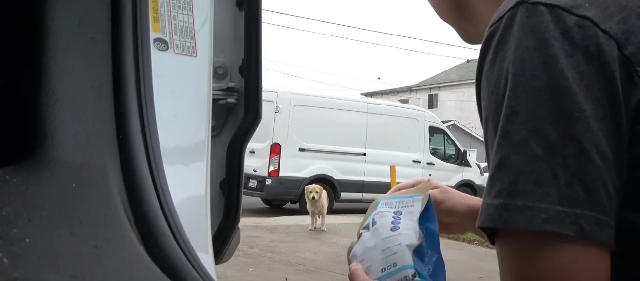 guy and dog near van