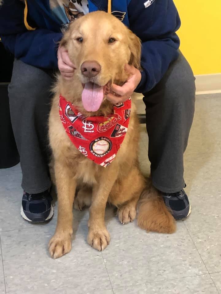 guy holding his brown dog