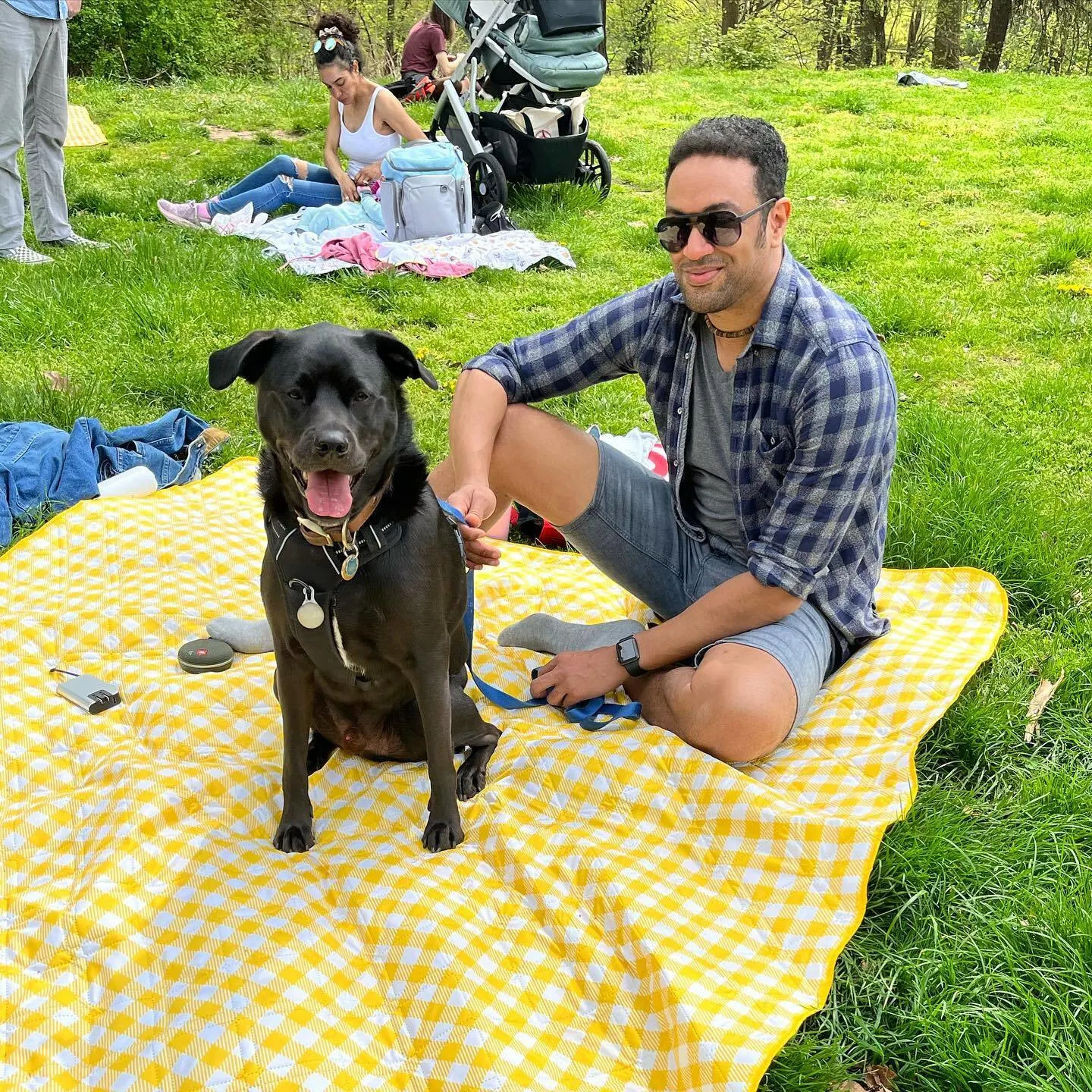 happy-man-and-dog-on-the-picnic
