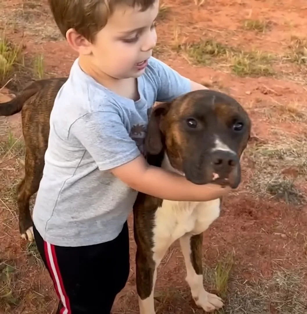 little boy hugging shelter dog