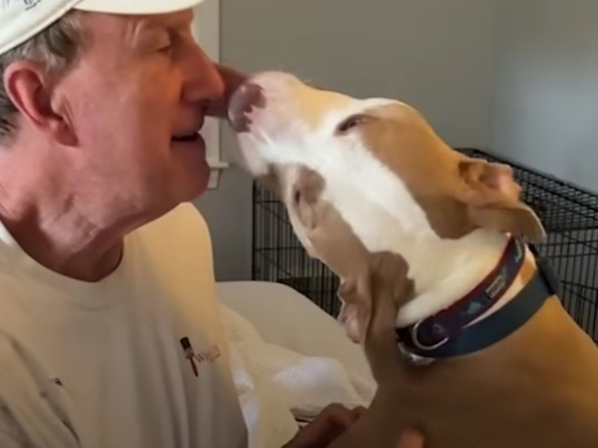 old guy and his dog