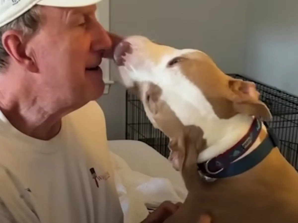 old guy and his dog