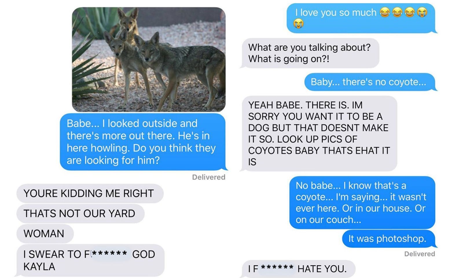 photo and text messages of coyote prank