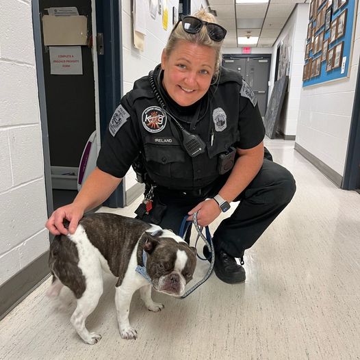 police officer and abandoned dog