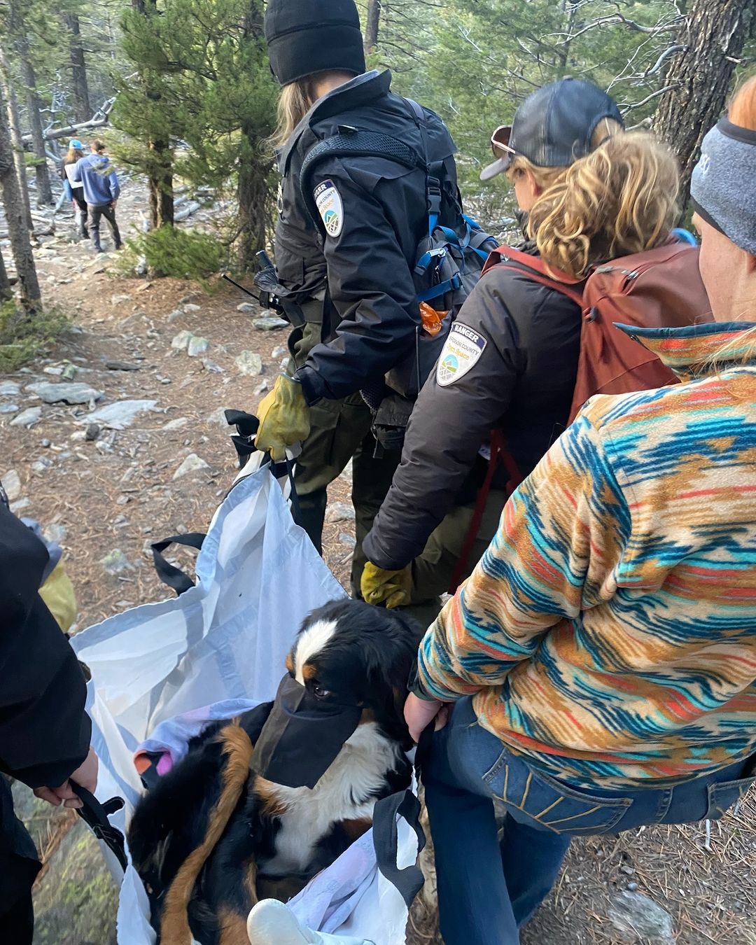 rescuers carrying the dog