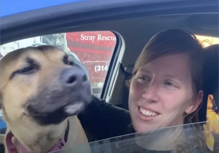 smiling woman with dog in the car