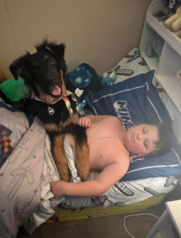 the dog lies on the child's stomach