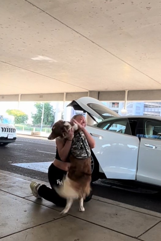 the dog was happy for his owner