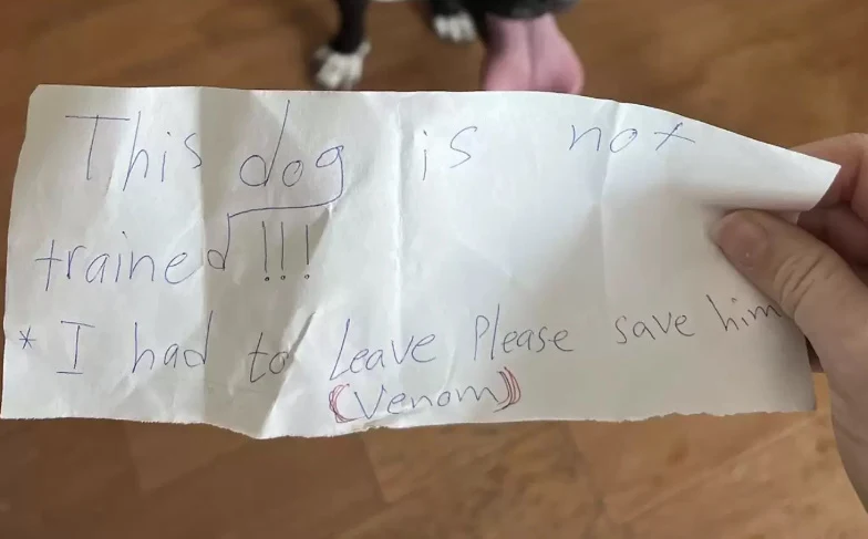 the message the owner left when he abandoned the dog