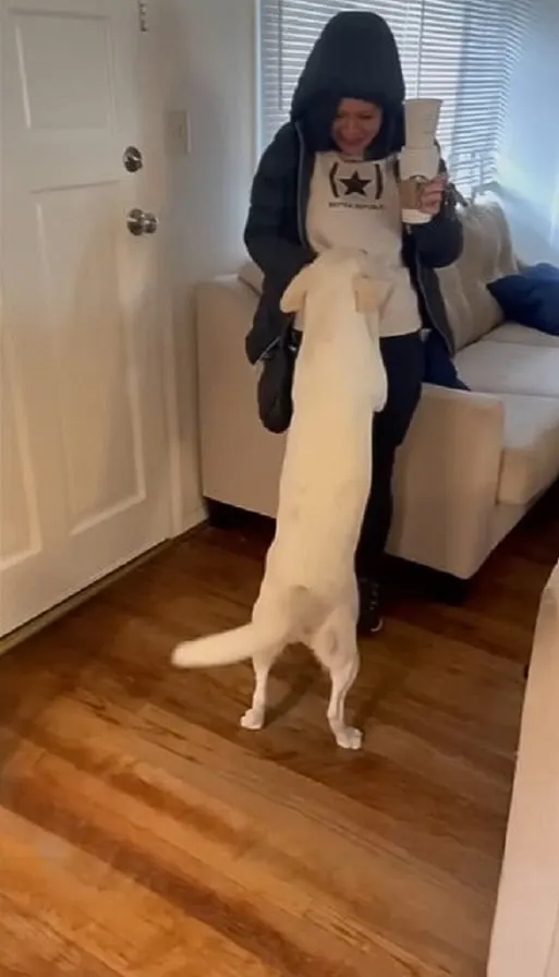 white dog and owner in the house