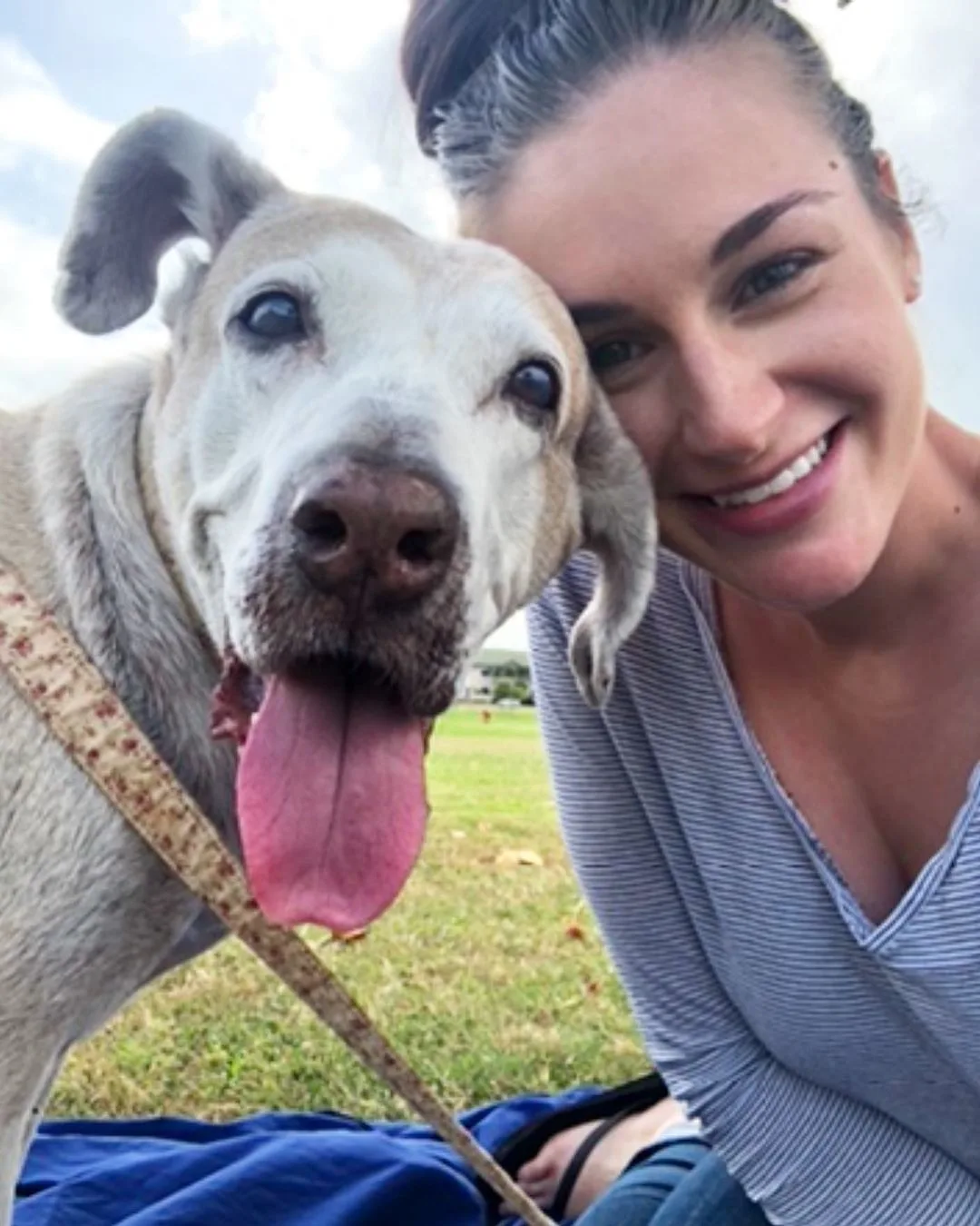 woman and a senior dog