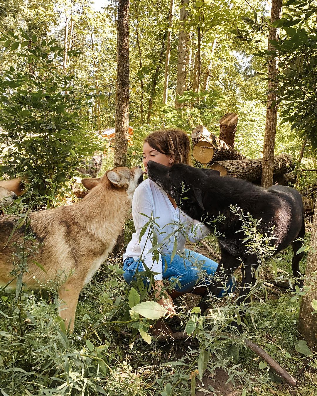 woman and two dogs in woods