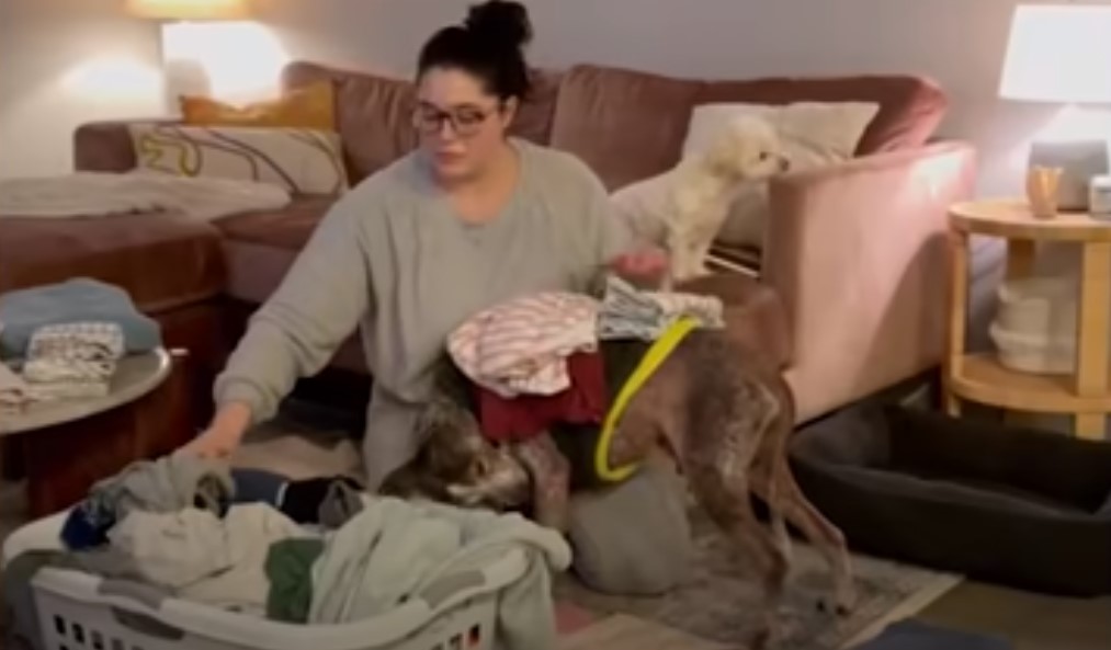 woman folding laundry with dog in front of her