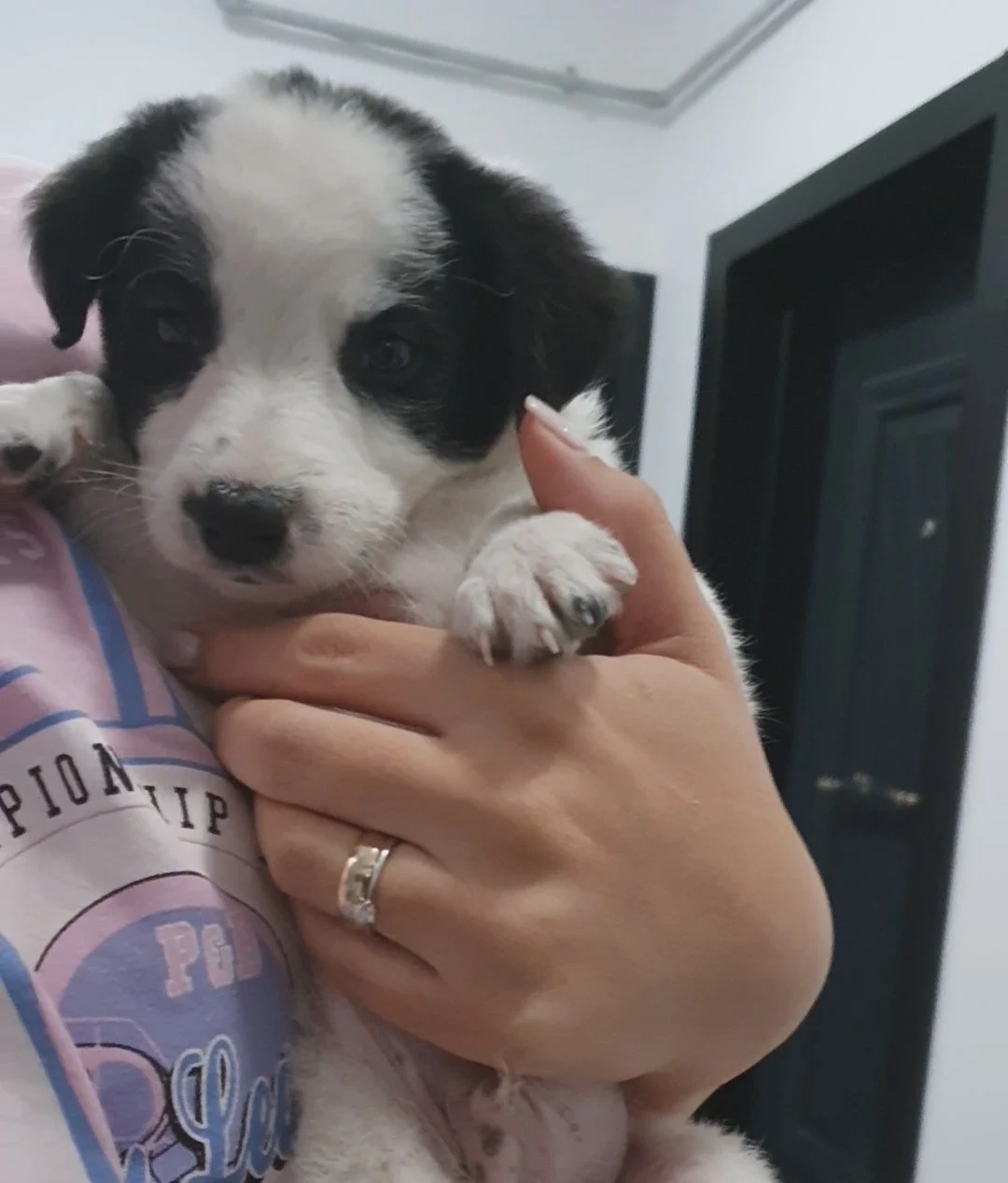 woman holding little puppy
