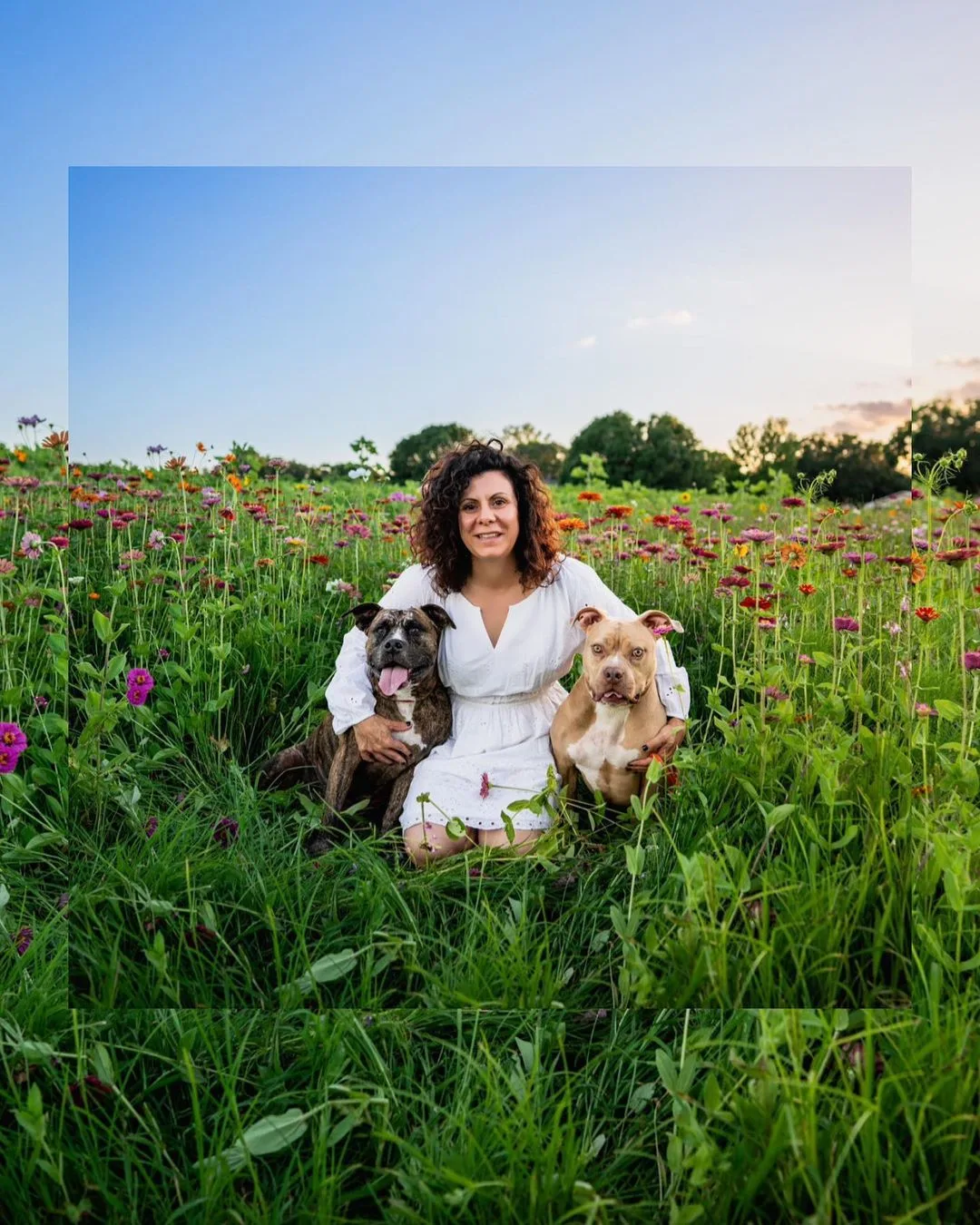 mujer en campo de flores con dos perros