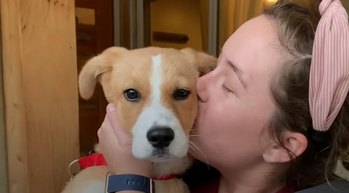 woman kissing dog