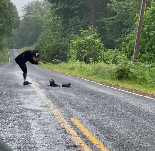 woman saving otters