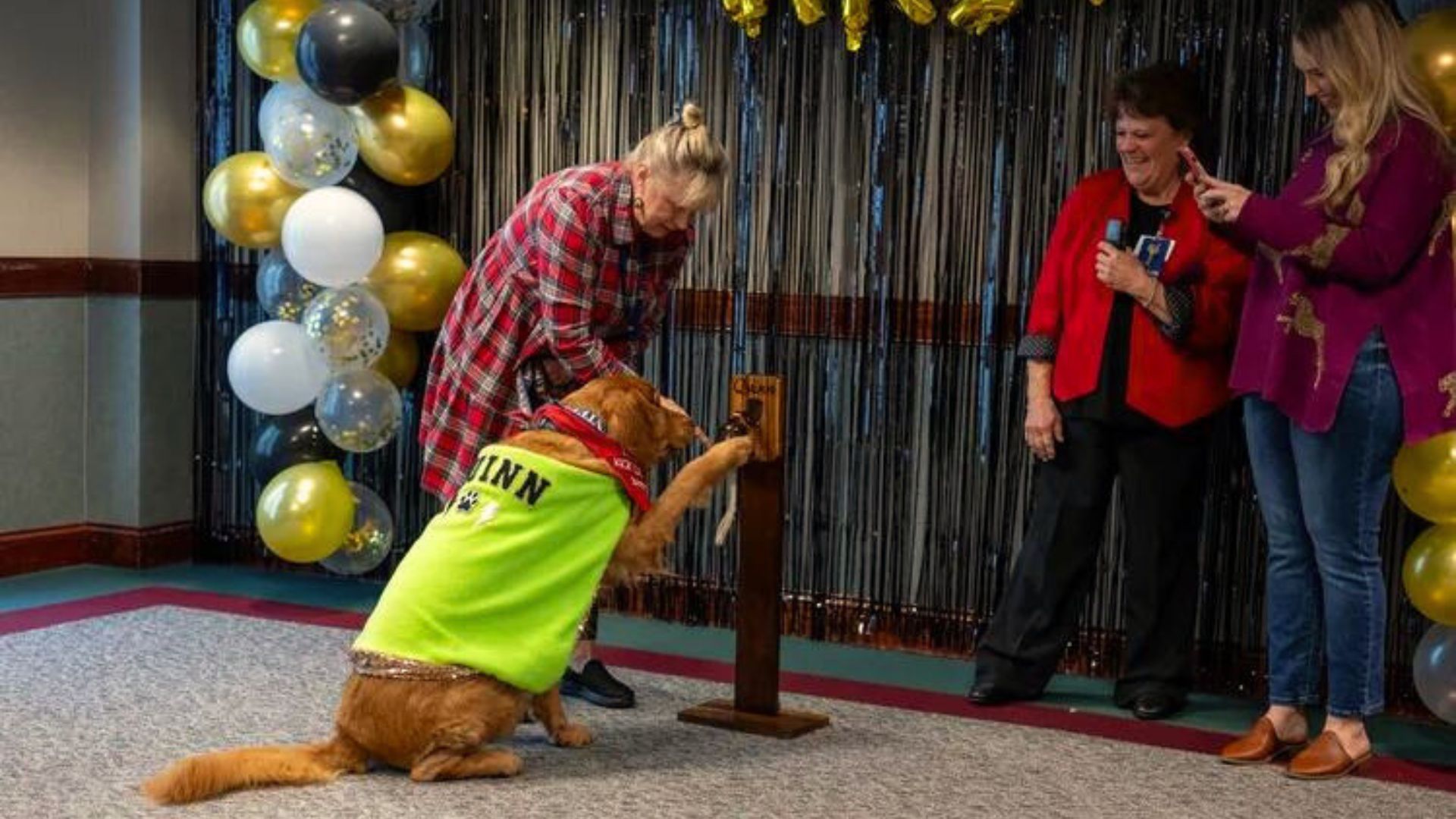 Watch This Therapy Dog’s Heartwarming Ceremony After Beating Cancer
