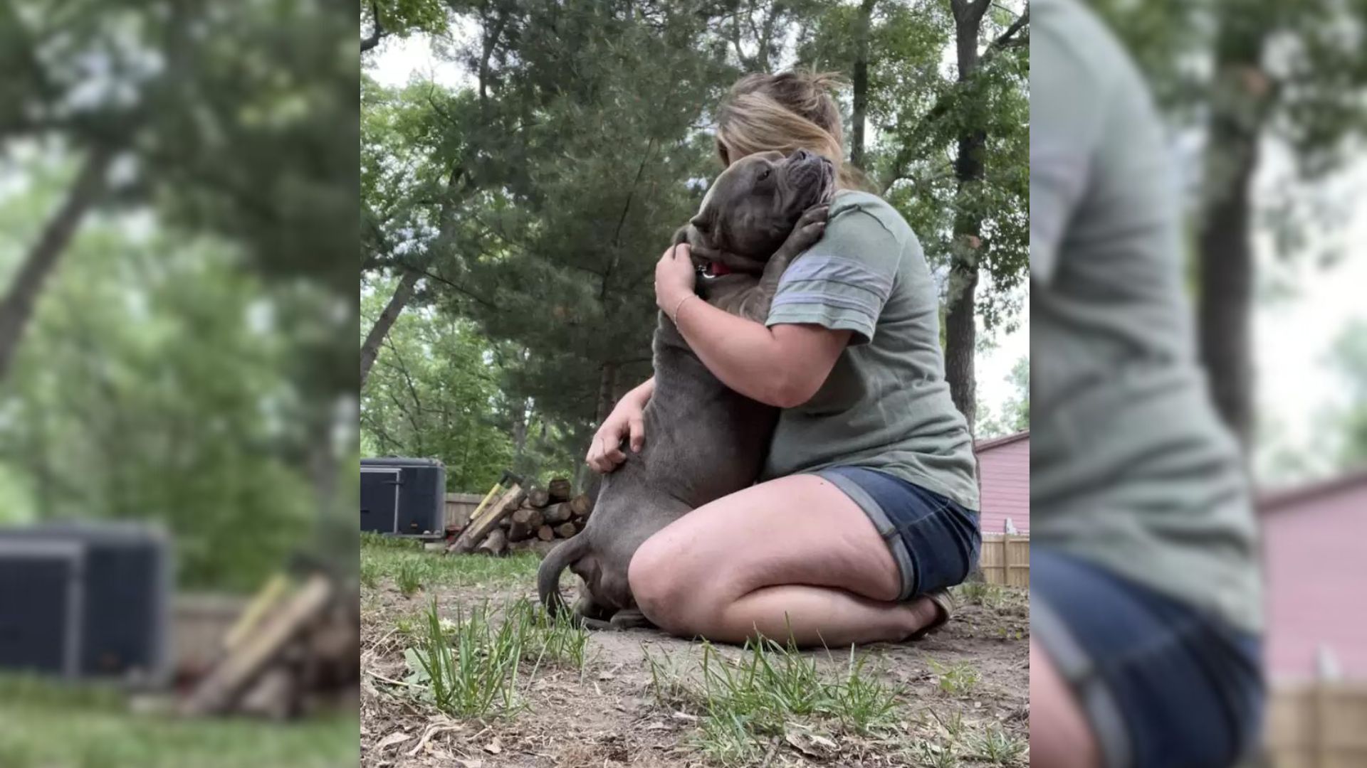 the dog fell in love with the new foster mother