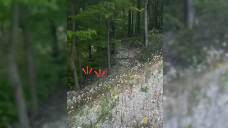 hikers heard strange sound