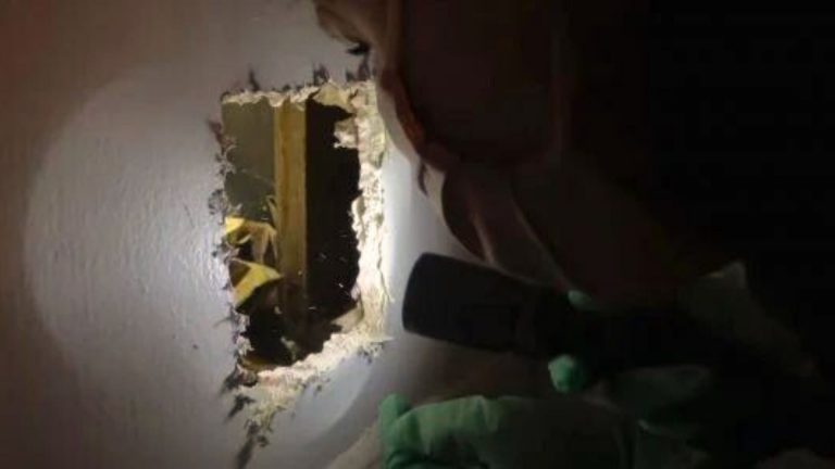 homeowner hearing sound from wall
