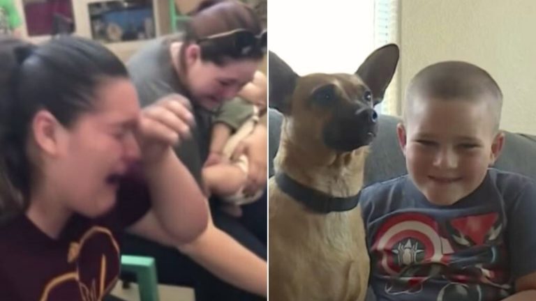 volunteers reuniting with dog